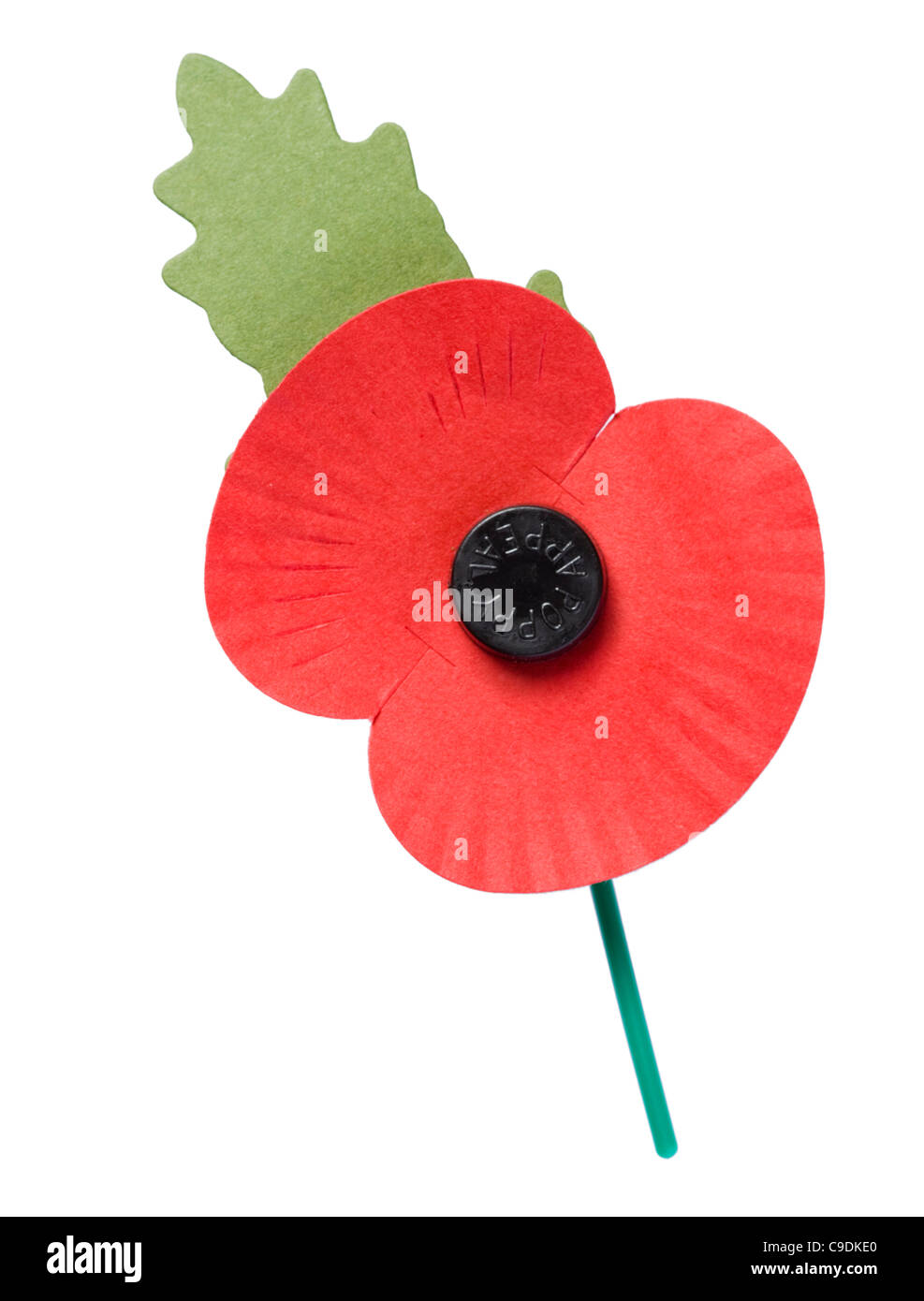 Royal British Legion Mohn für November Poppy Appell. Stockfoto