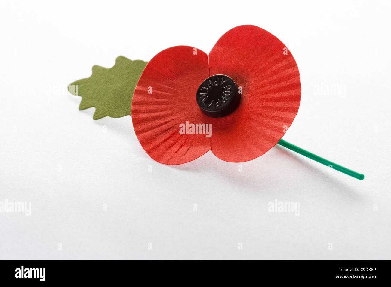 Royal British Legion Mohn für November Poppy Appell. Stockfoto