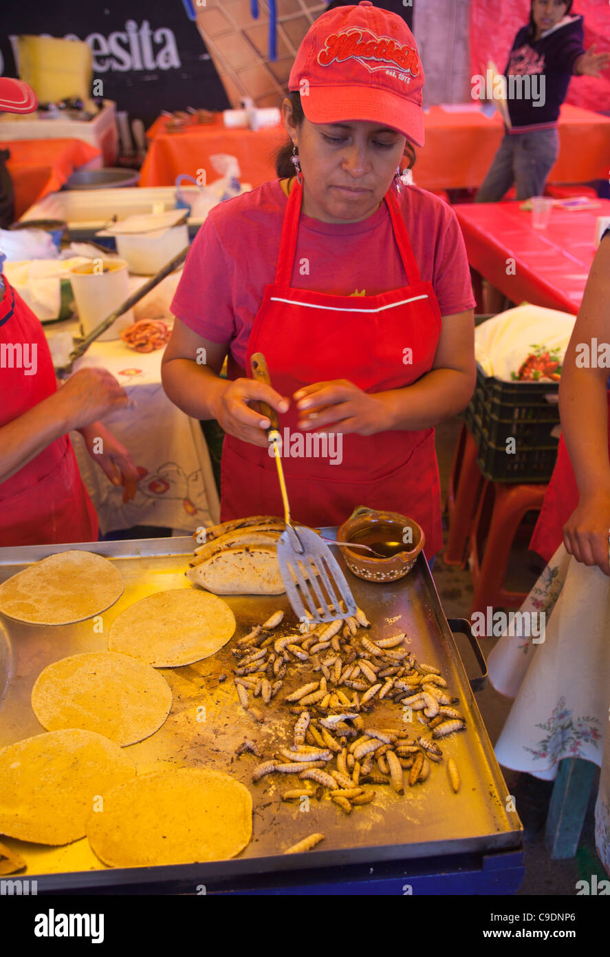 Festival Gastronomica Santiago de Anaya Hidalgo Mexiko Stockfoto