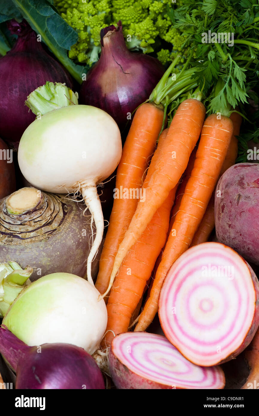 Gemischtes Gemüse: Rüben, Karotten, Schwede, rote Beete und roten Zwiebeln Stockfoto