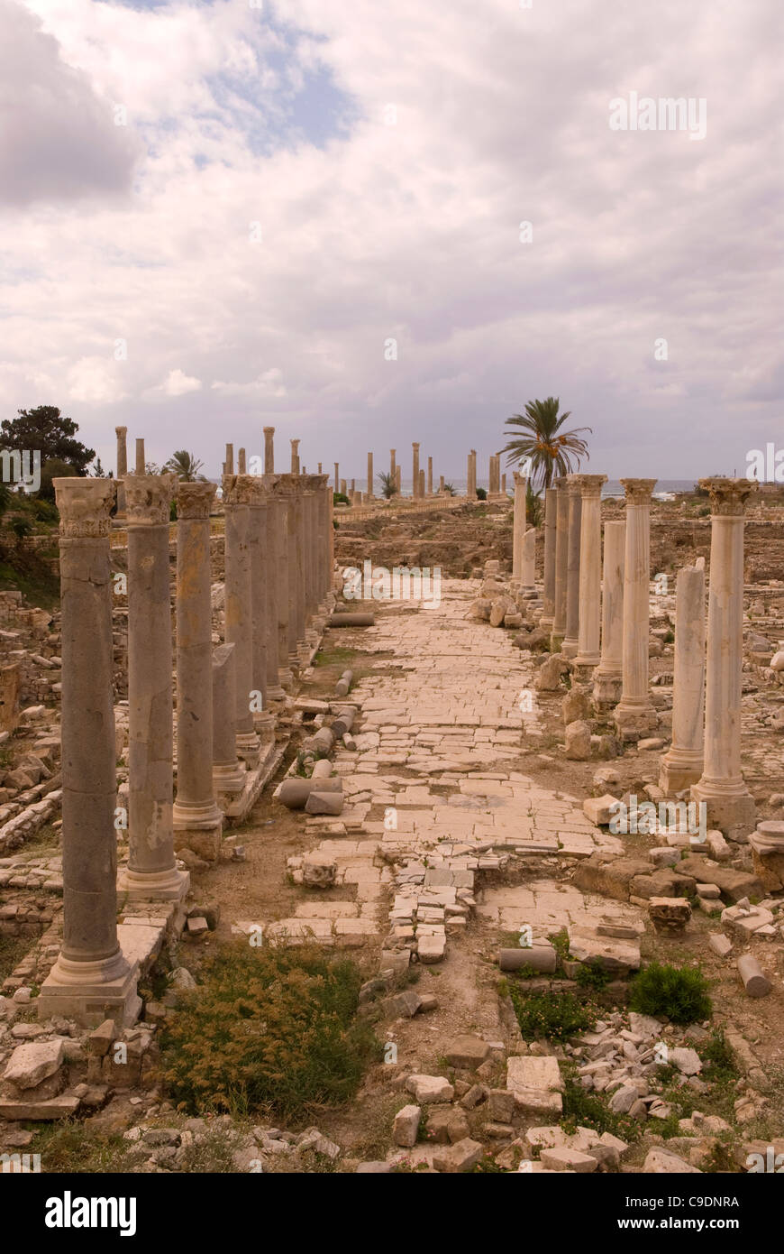 Al Mina archäologische Stätte, Reifen, Süd-Libanon. Stockfoto