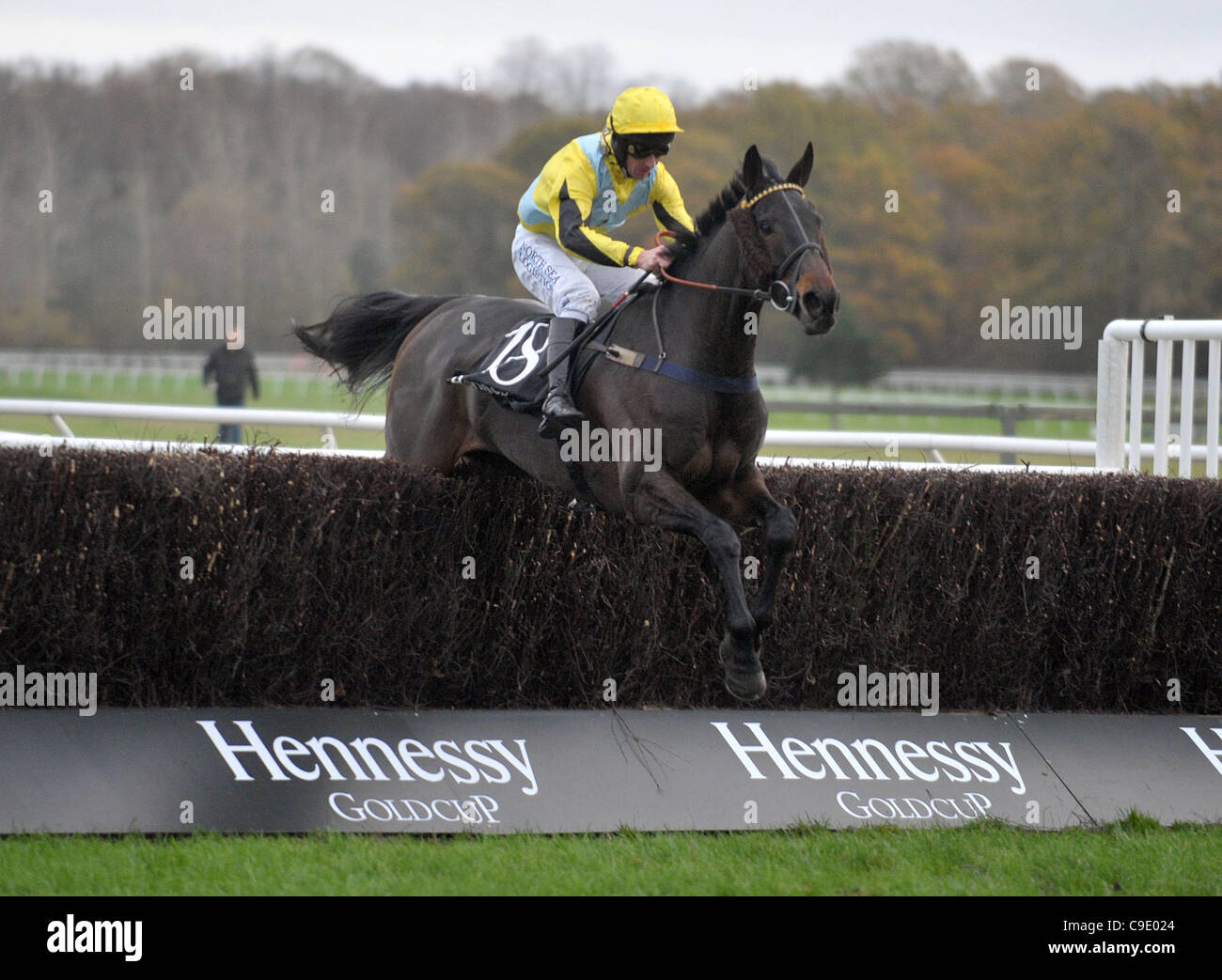 Qhilimar geritten von Richie McGrath während Hennessy Gold Cup Chase in Newbury Racecourse, Berkshire - 26.11.2011 - CREDIT: Martin Dalton/TGSPHOTO Stockfoto