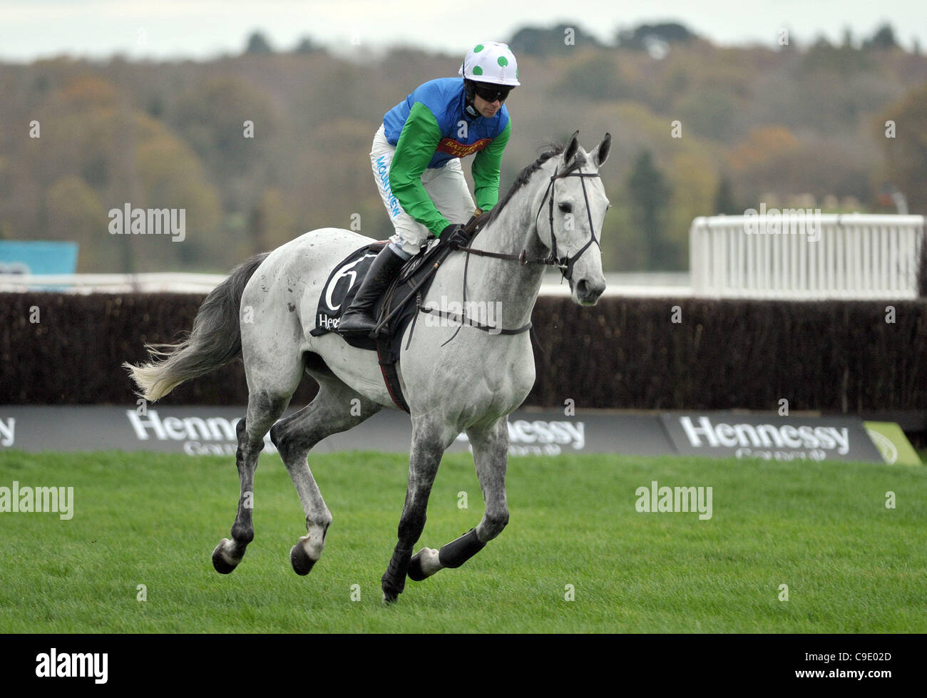 Große Bemühungen, geritten von Timmy Murphy vor Hennessy Gold Cup Chase in Newbury Racecourse, Berkshire - 26.11.2011 - CREDIT: Martin Dalton/TGSPHOTO Stockfoto