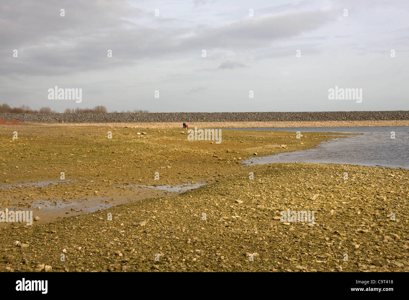 Wasserstände sind gering und liegt bei Rutland Water in der Nähe von Oakham, Rutland, England. Das Reservoir einer der größten künstlichen Seen in Europa und liefert Trinkwasser in den trockensten reservieren und am dichtesten bevölkerten Viertel der United Kingdom.The East Midland und East Anglia stehen Beschränkung auf Wasser u Stockfoto