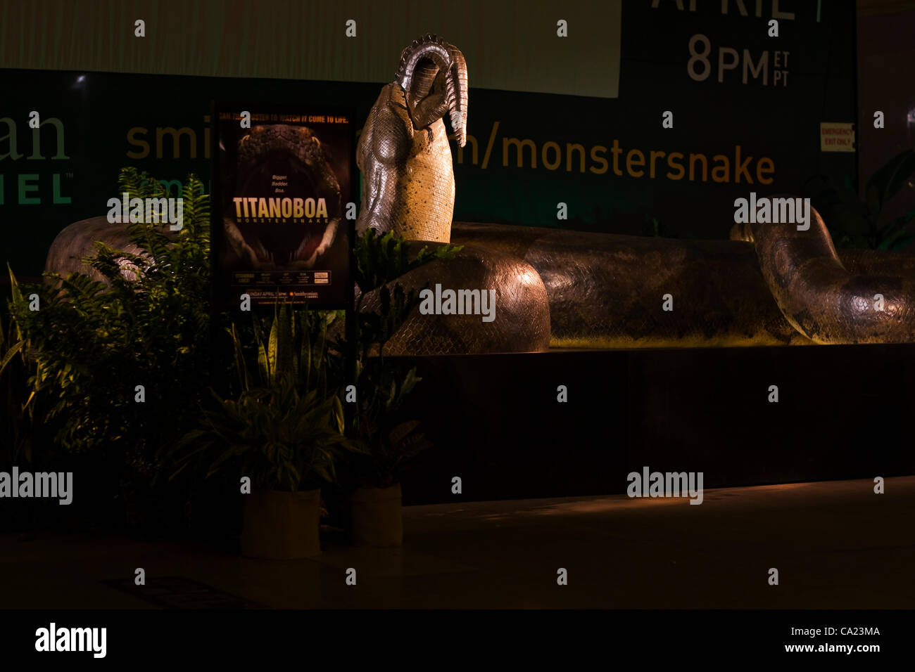 Titanoboa größe Fotos und Bildmaterial in hoher Auflösung Alamy