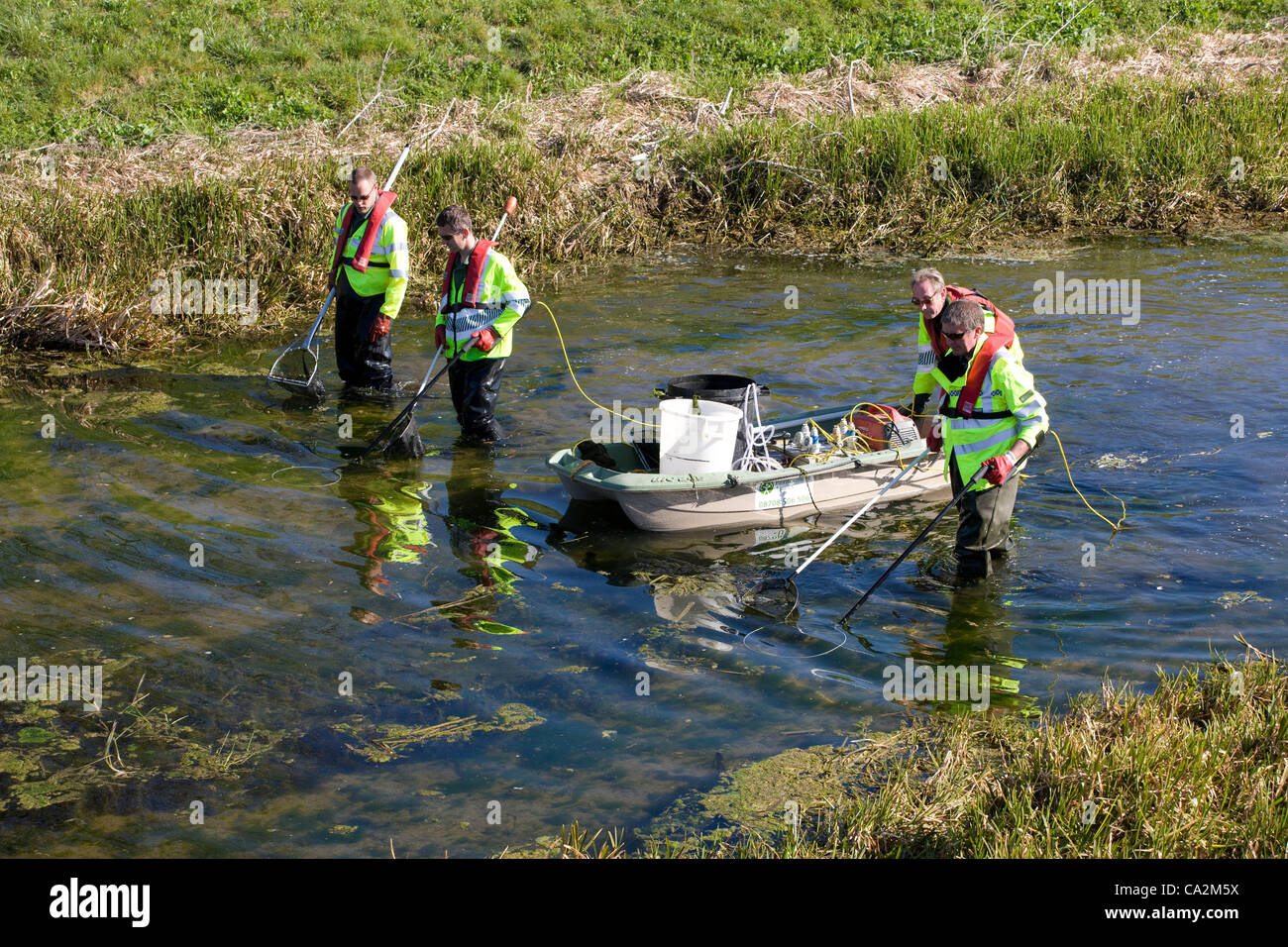 Umweltagentur Offiziere Rettung Fisch aus den 9 km langen Maxey Schnitt verläuft zwischen Peterborough und Market Deeping in Lincolnshire.The Fisch, der Hecht, Forelle und Döbel gehören in erscheint der in der Nähe vom Fluss Weland.Low Regen fallen in den letzten 16 Monaten entstanden Pegelstände der Flüsse fallen Stockfoto