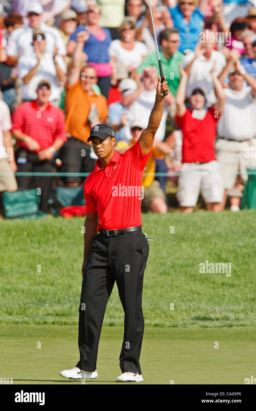 3. Juni 2012: Tiger Woods feiert nach seinem Birdie legte auf Nr. 18 in die Tasse geben ihm eine zweistufige Führung während der Endrunde der Memorial-Golf-Turnier gespielt bei Muirfield Village Golf Club in Dublin, Ohio rollt. Stockfoto