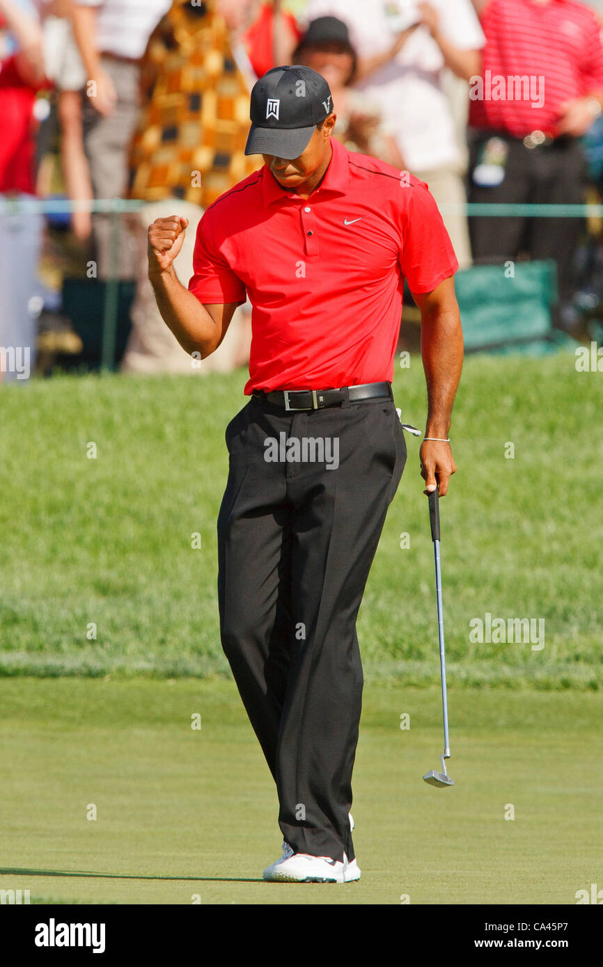 3. Juni 2012: Tiger Woods feiert nach seinem Birdie legte auf Nr. 18 in die Tasse geben ihm eine zweistufige Führung während der Endrunde der Memorial-Golf-Turnier gespielt bei Muirfield Village Golf Club in Dublin, Ohio rollt. Stockfoto