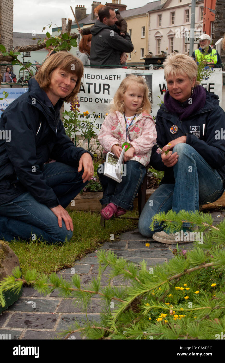 (Links nach rechts) Anna Williams, Elissa Gibson & Anna Budesha in der Nord-Wales Wildlife Trust Wildlife Gardening Projekt Garten. Der Garten, der darauf abzielt, die Menschen lehren, wie die Tiere zu gewinnen, wurde am 5. Juni in eine Parklücke auf Maes, Caernarfon, Wales, UK gebaut. Stockfoto