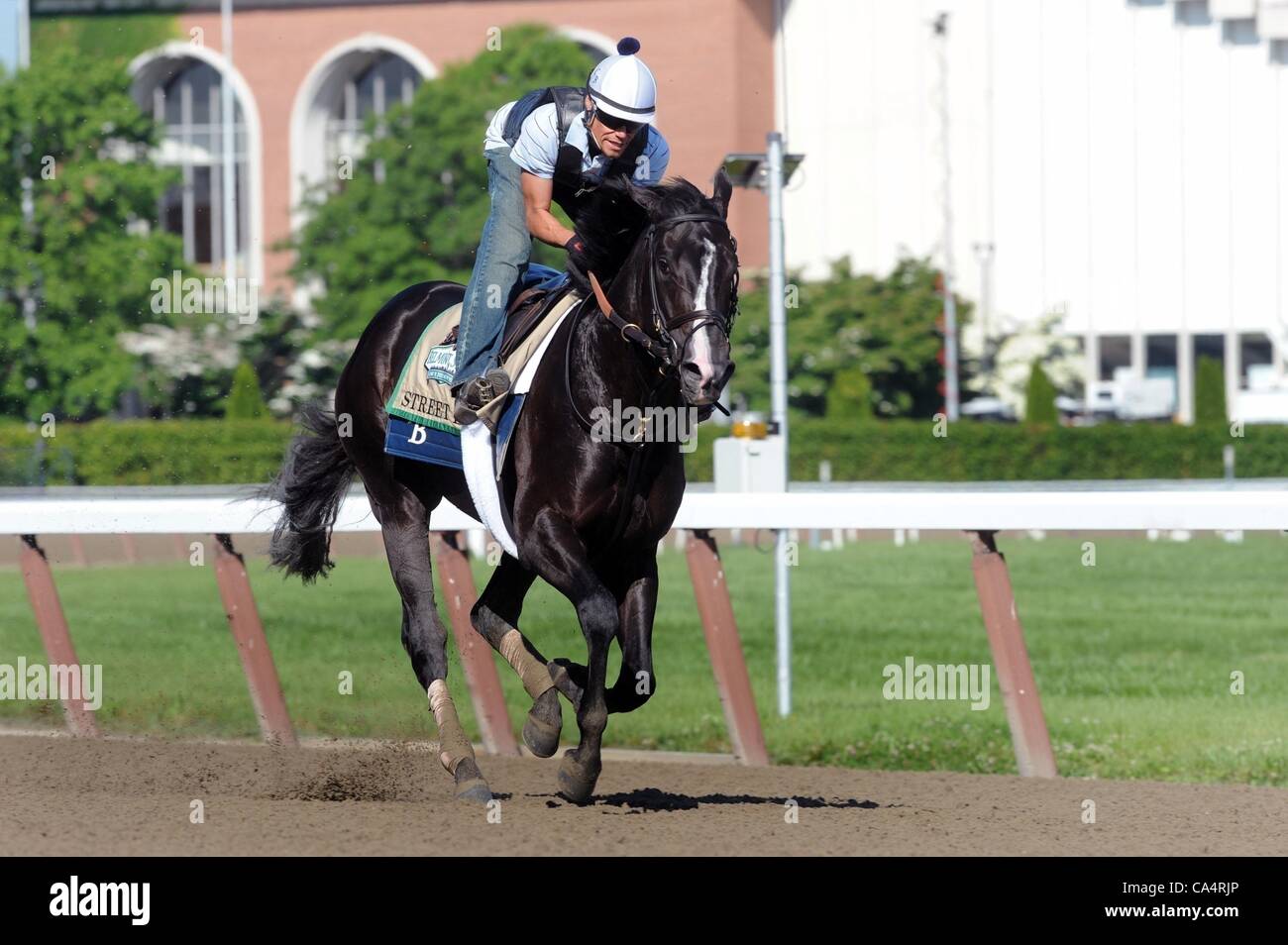 7. Juni 2012 - Elmont, New York, USA - Belmont Stakes Anwärter STREET LIFE von Chad Brown, Galopp auf dem Hauptgleis auf Belmont Park vor die Belmont Stakes am 9. Juni ausgebildet. (Bild Kredit: Bryan Smith/ZUMAPRESS.com ©) Stockfoto