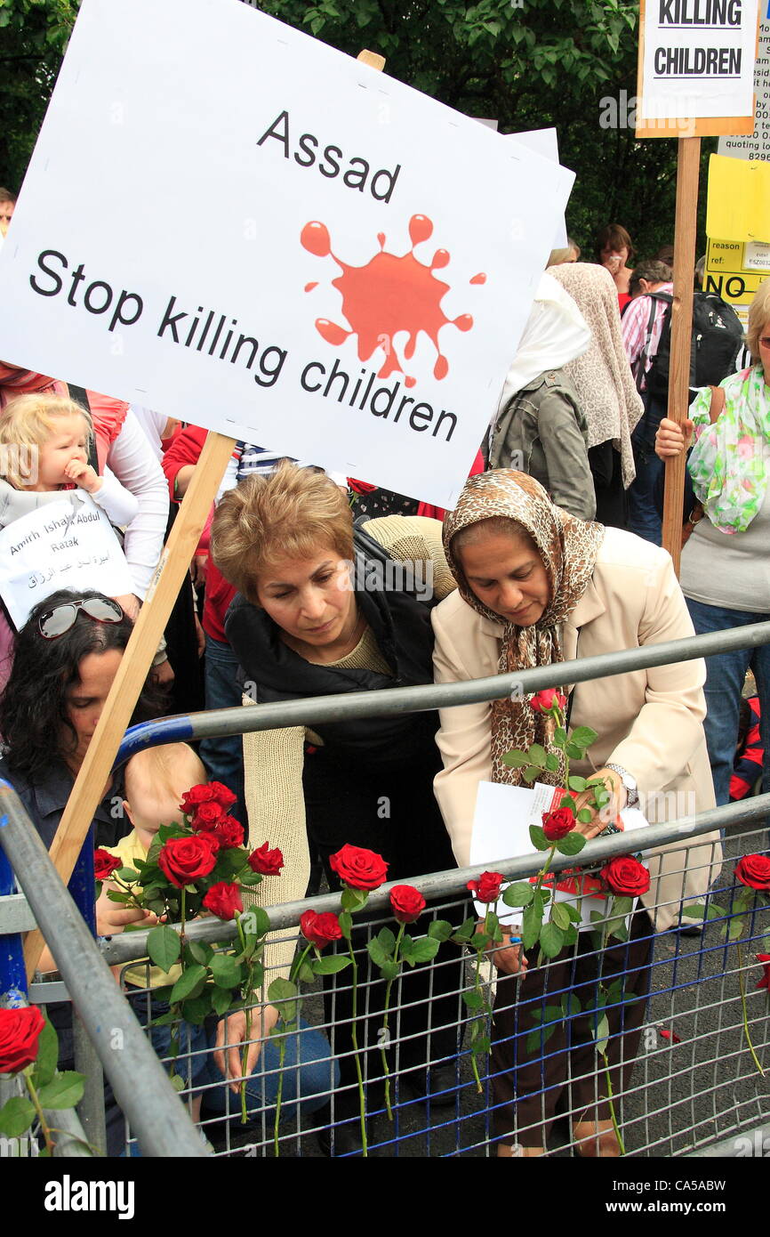 Sonntag, 10. Juni 2012 Journalist Louise Tickle organisiert Protest gegen syrische Botschaft. Kinder fix rote Rosen mit den Hindernissen vor der syrischen Botschaft in London: Credit: HOT SHOTS / Alamy Live News Stockfoto