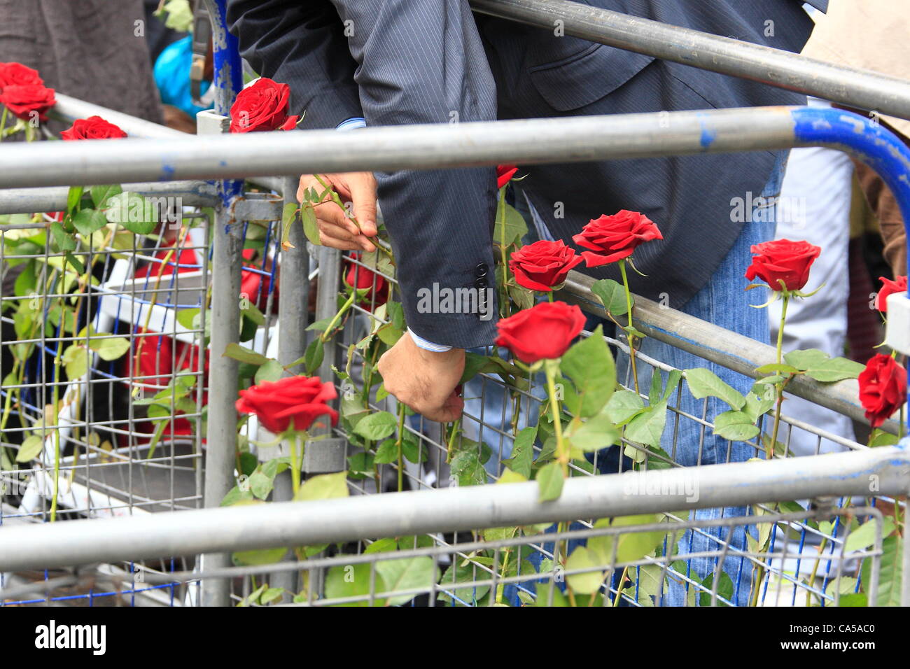 Sonntag, 10. Juni 2012 Journalist Louise Tickle organisiert Protest gegen syrische Botschaft. Eine rote Rose, jedes Kind getötet in den letzten syrischen Gräueltaten zu bedeuten ist fixiert, die Hindernisse bei der syrischen Botschaft in London: Credit: HOT SHOTS / Alamy Live News Stockfoto