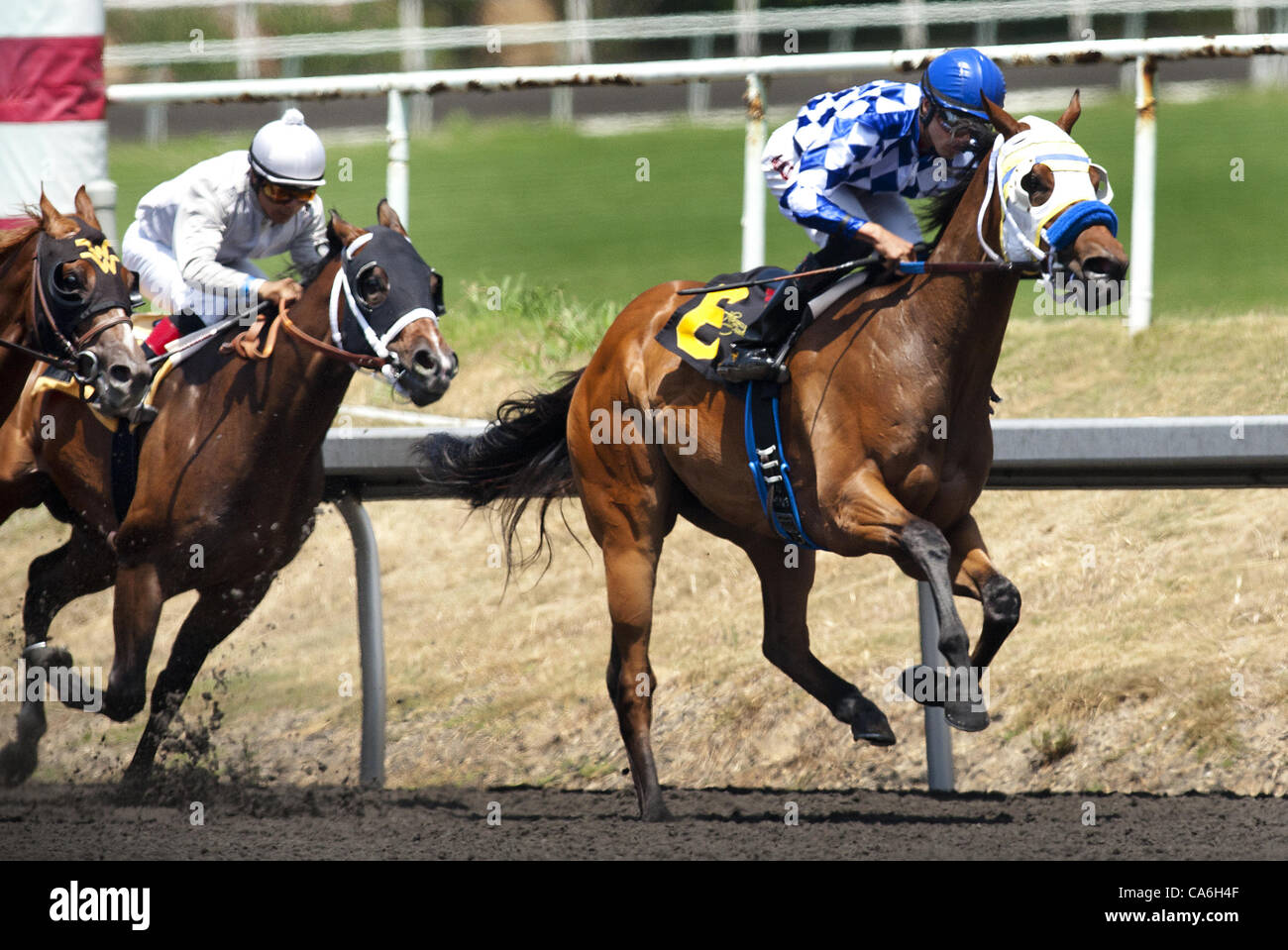 16. Juni 2012 - Arcadia, Kalifornien, USA - Amarish mit Edgar Maldenado gewinnt an Bord die Willard L. Proctor Einsätze bei Betfair Hollywood Park in Inglewood. (Kredit-Bild: © Alex Evers/Eclipse-Sportswire/Eclipse/ZUMAPRESS.com) Stockfoto