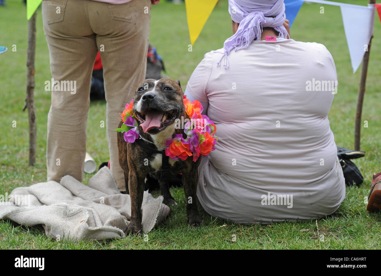 Brighton UK 17. Juni 2012 - gekleidet für den Anlass ein Kandidat auf der Bark in The Park-Veranstaltung in Queens Park Brighton heute Stockfoto