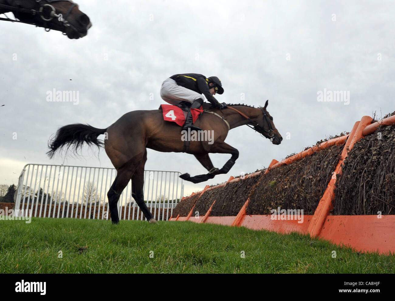 Rasam Aldaar geritten von Alex Merriam nimmt das letzte vor und geht auf die Maut Haus Juvenile Hürde im Sandown Park Pferderennbahn in Esher, Surrey - 12.02.2011 - Kredit zu gewinnen: Martin Dalton/TGSPHOTO Stockfoto