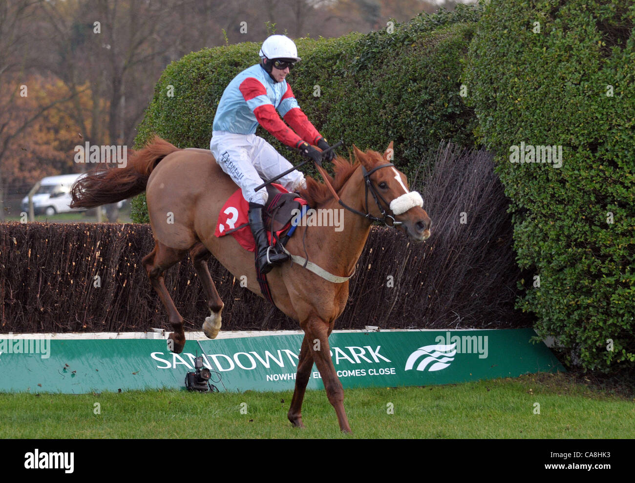 Lexikon-Lad geritten von Paddy Brennan nimmt das letzte in der Newcourt Novices´ Handicap Chase in Sandown Park Pferderennbahn in Esher, Surrey - 12.02.2011 - CREDIT: Martin Dalton/TGSPHOTO Stockfoto