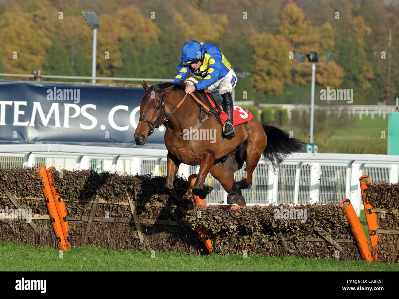 Poungach von Ruby Walsh geritten nimmt den letzten Flug und gewinnt die Pertemps Handicap Hurdle (Series Qualifier) in Sandown Park Pferderennbahn in Esher, Surrey - 03/12/2011 - CREDIT: Martin Dalton/TGSPHOTO Stockfoto