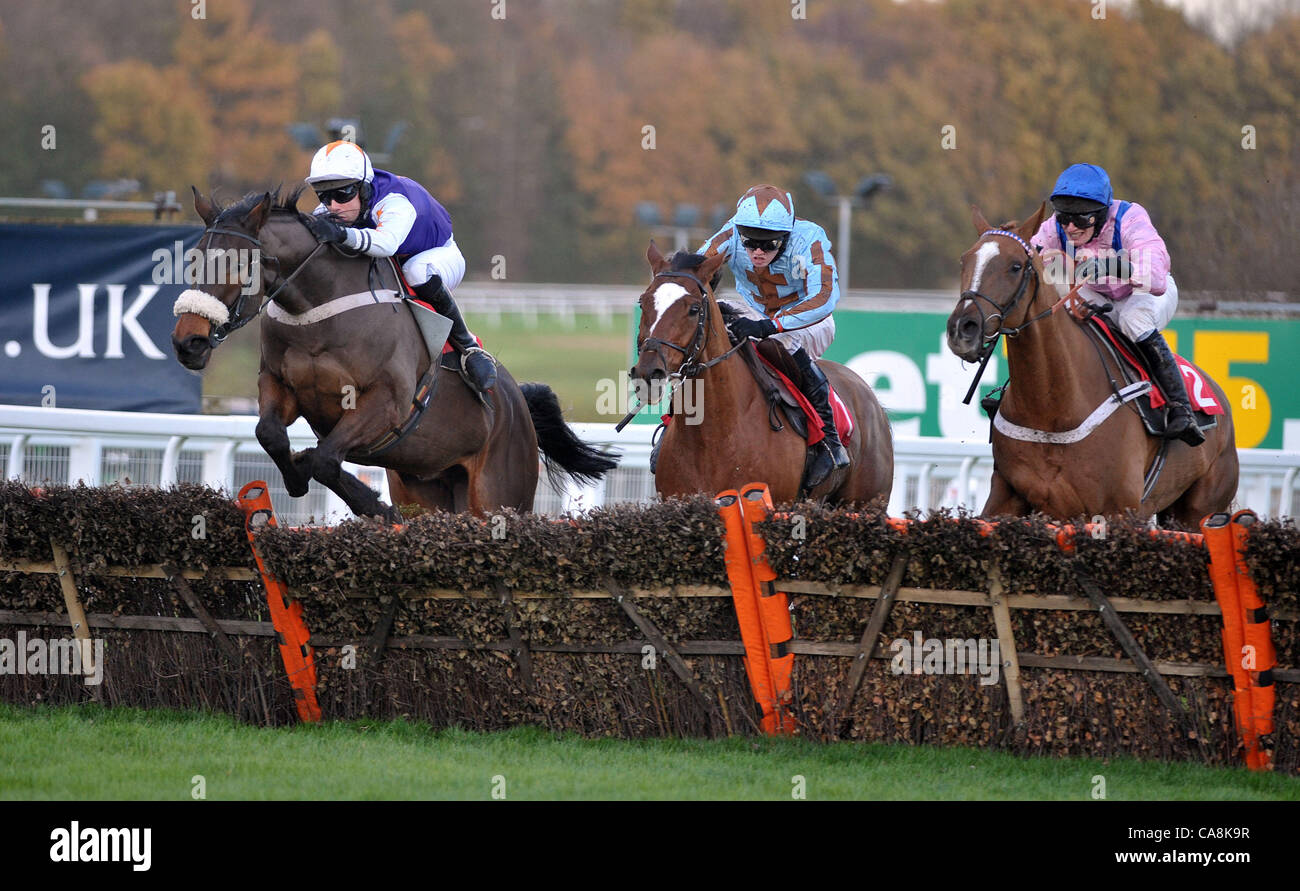 Ubi Ace geritten von Robert Walford führt über den letzten Bayern eingeführten Premium Lager Handicap Hürde bei Sandown Park Racecourse, Esher, Surrey zu gewinnen - 03/12/2011 - Quelle: Martin Dalton Stockfoto