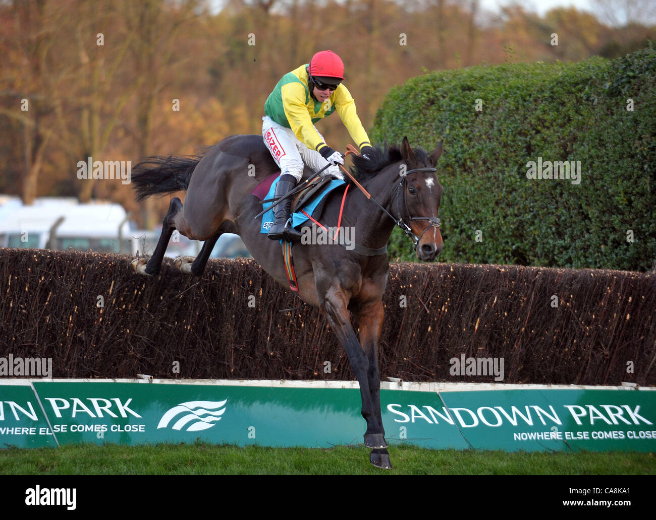 Nimmt die letzte Dimensionierung Europa geritten von AE Lynch und geht auf die Sportingbet Kribbeln Creek Chase (Grade 1) in Sandown Park Pferderennbahn in Esher, Surrey - 03/12/2011 - Kredit gewinnen: Martin Dalton/TGSPHOTO Stockfoto