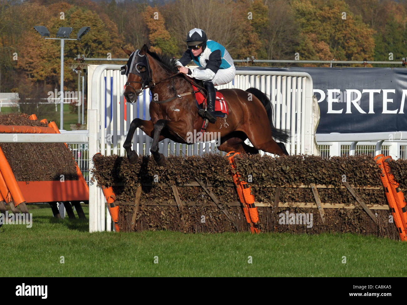 Mein Bruder Sylvest geritten von Ryan Mahon nimmt die letzte im Pertemps Handicap Hurdle (Series Qualifier) in Sandown Park Pferderennbahn in Esher, Surrey - 12.03.2011 - CREDIT: Martin Dalton/TGSPHOTO Stockfoto