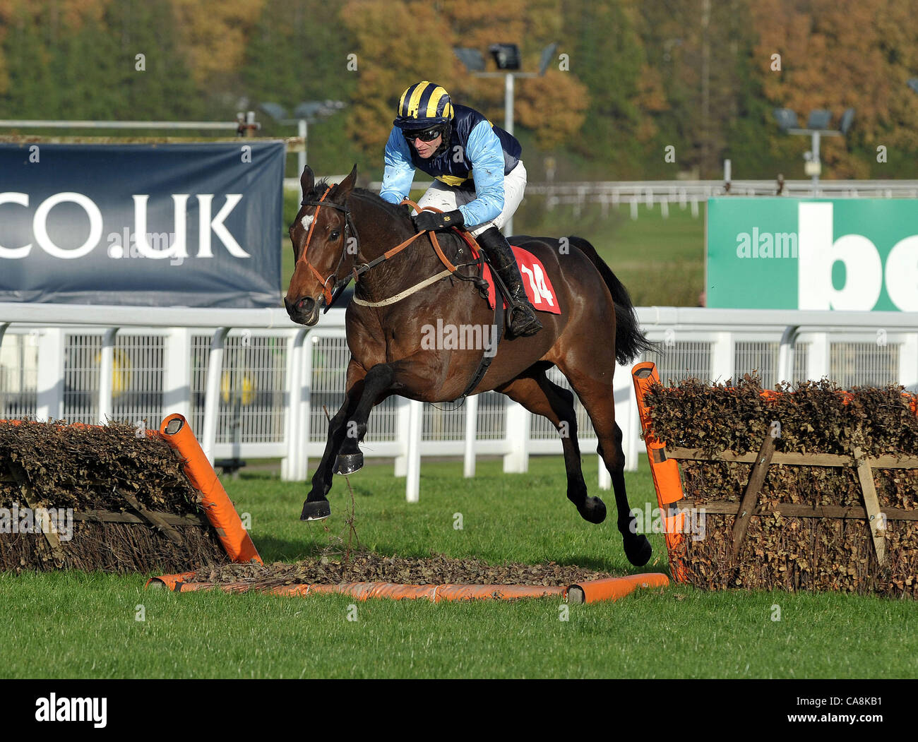 Drumbaloo von Paul Moloney geritten nehmen die letzte im Pertemps Handicap Hurdle (Series Qualifier) in Sandown Park Pferderennbahn in Esher, Surrey - 12.03.2011 - Kredit: Martin Dalton/TGSPHOTO Stockfoto