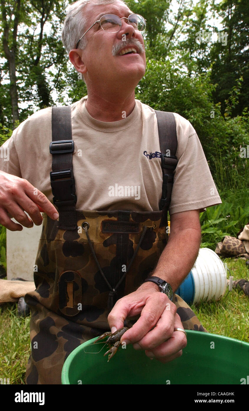 28. Mai 2003 - ist Morgan Township, Ohio, USA - Holding eine erfasste Exemplar von der winzigen Sloan Krebsen ROGER THOMA, ein Fischerei-Biologe mit Ohio EPA. Einer der letzten Hochburgen der Sloan, Paddy es Run Creek, der bildet das Quellgebiet des Great Miami River, und dies zu verlieren droht Stockfoto
