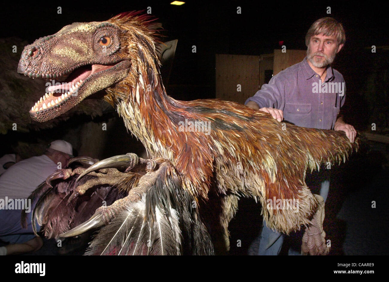 Bekannter Dinosaurier Bildhauer STEPHEN CZERKAS wechselt in das San Diego Natural History Museum Keller, der Legler Benbough Ausstellungshalle, eine 10 Fuß lange Nachbildung eines Deinonychus (auch bekannt als die "schreckliche Kralle"), die auf einem zweirädrigen Karren, einer der drei davon es ist. Die Halle ist für die upc vorbereitet wird Stockfoto