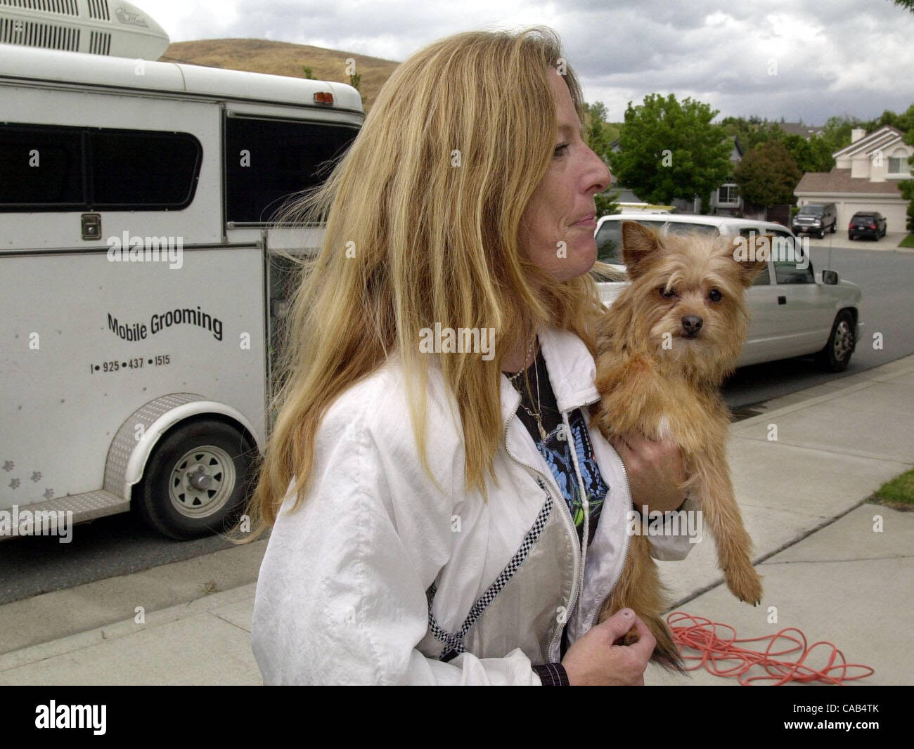 3 PIX STANDALONE---Alana Hamilton ein Hund Groomer für gut-Pet Mobile Pflege von Pittsburg führt Pippin eine Terrier zurück zu seinen Besitzern nach Hause in Antioch Kalifornien Montag, 19. April 2004.  Hamilton sagt die Dienst-Appelle an ältere Menschen, ältere Hunde und Menschen, die haben nicht die Zeit, ihren Hund zu nehmen Stockfoto