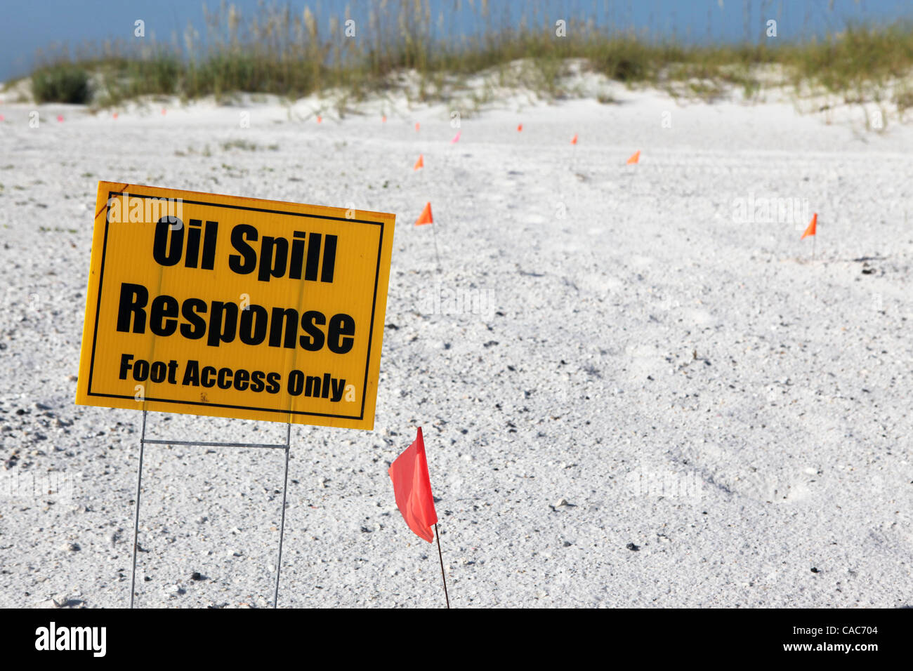 28. Juli 2010 hit - Pensacola, Florida, USA - Oil Spill Cleanup Besatzungen den weißen Sand von Pensacola Beach am Mittwochmorgen Rechen im Sand und Sichtung für Tar Balls. Wellen von klebrigen Teer Blobs wurden an Land zunehmend auf dem weißen Sand von der Florida Panhandle letzte Woche als Slicks her waschen Stockfoto