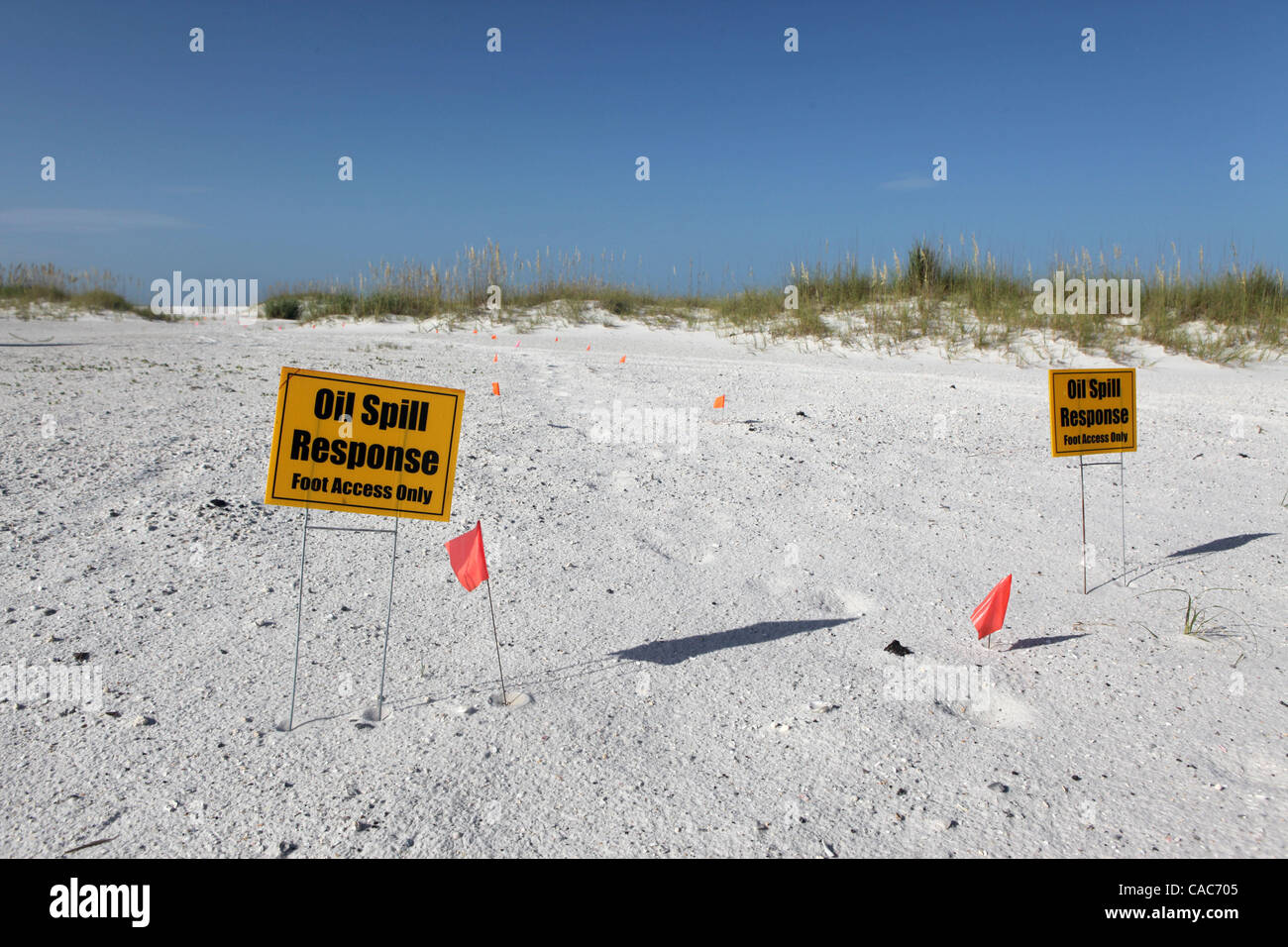 28. Juli 2010 hit - Pensacola, Florida, USA - Oil Spill Cleanup Besatzungen den weißen Sand von Pensacola Beach am Mittwochmorgen Rechen im Sand und Sichtung für Tar Balls. Wellen von klebrigen Teer Blobs wurden an Land zunehmend auf dem weißen Sand von der Florida Panhandle letzte Woche als Slicks her waschen Stockfoto