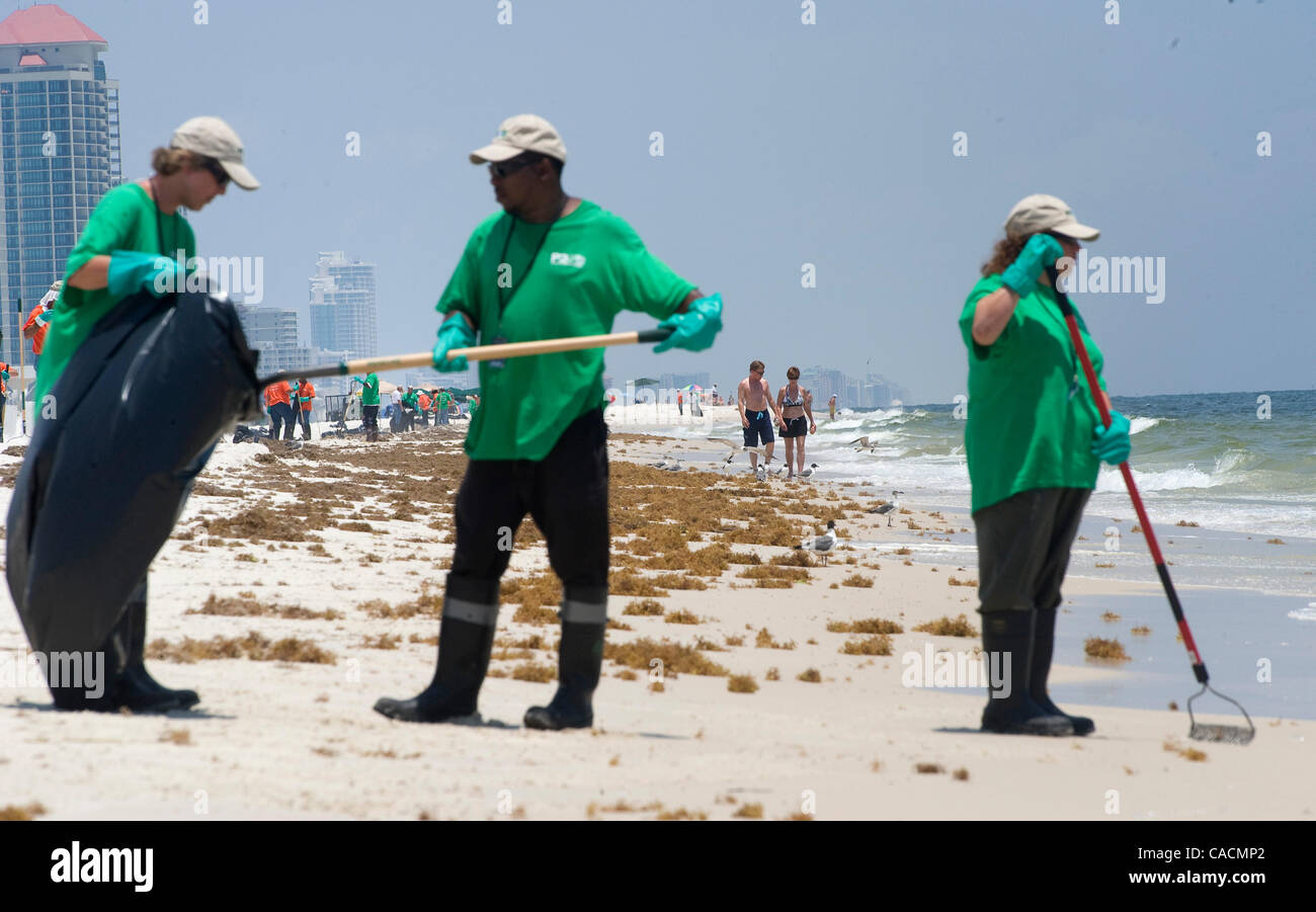9. Juni 2010 reinigt - Gulf Shores, Alabama, Vereinigte Staaten - A Crew Teer Kugeln aus dem Deepwater Horizon Öl am Strand am Gulf Shores State Park zu verschütten. Öl aus der Deepwater Horizon Oil Spill weiterhin eine Küste entlang des Golfs von Mexiko bis hin nach Florida zu waschen.  Am Strand bleibt offen, aber Tausende von Stockfoto