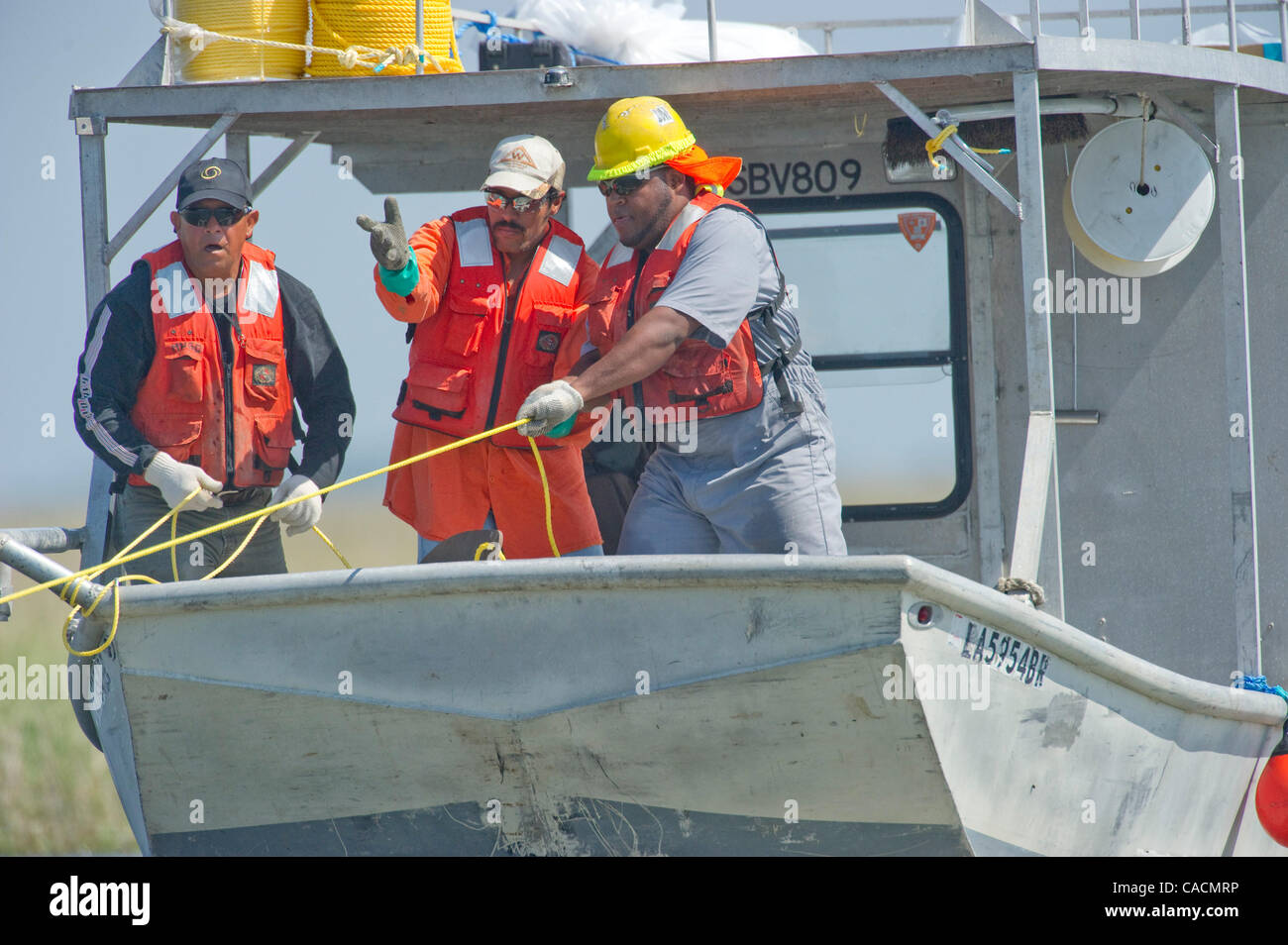 11. Juni 2010 - Cocodrie, Louisiana, USA - Crews legen Boom in den Sümpfen in der Nähe von Cocodrie, die fragile Marsh Ländereien aus der Deepwater Horizon Oil Spill zu schützen. (Bild Kredit: Robin Loznak/ZUMApress.com ©) Stockfoto
