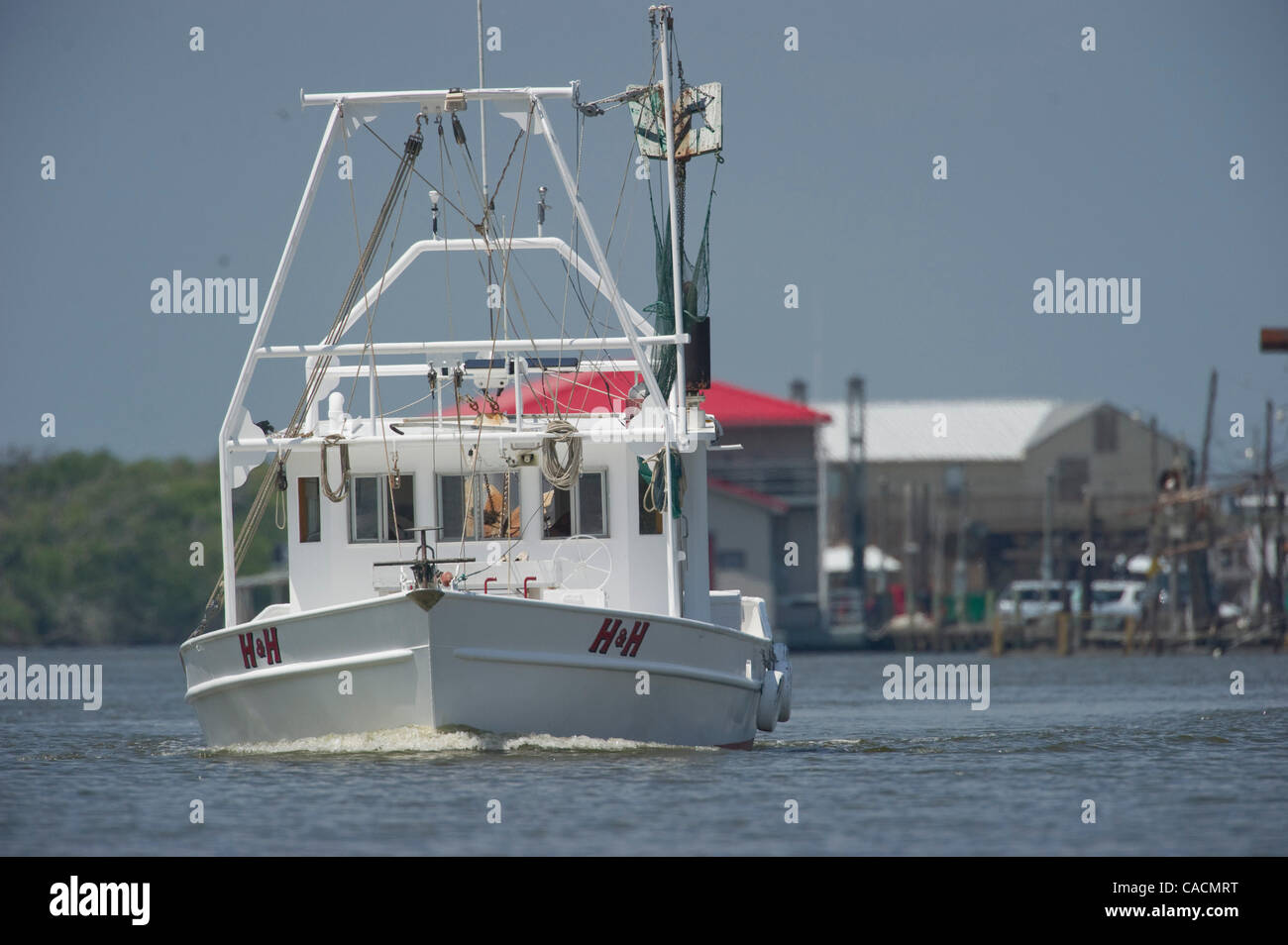 11. Juni 2010 reist - Cocodrie, Louisiana, USA - A Garnelen Boot in einen Kanal in der Nähe von Cocodria.  Angeln in einem großen Gebiet des Golfs von Mexiko wurde Öl aus der Deepwater Horizon Oil Spill stillgelegt. (Bild Kredit: Robin Loznak/ZUMApress.com ©) Stockfoto