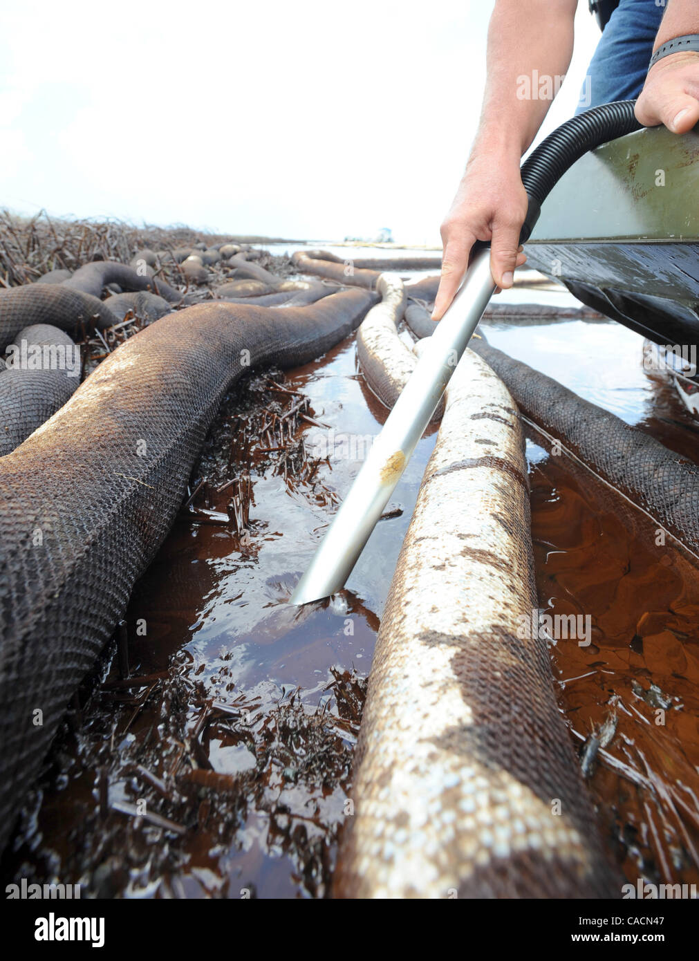 20. Juni 2010 - Port Sulphur, LOUISIANA, Vereinigte Staaten - Plaquemines Parish Feuchtgebiete Koordinator Jesse Shaffer verwendet eine tragbare Staubsauger um zu saugen Dick Rohöl aus der BP Deepwater Horizon Oil Spill im Abschnitt Bay Jimmy Sumpf der Barataria Bay in der Nähe von Port Sulphur, Louisiana, USA 20. Juni 2010. Plaquemines Stockfoto