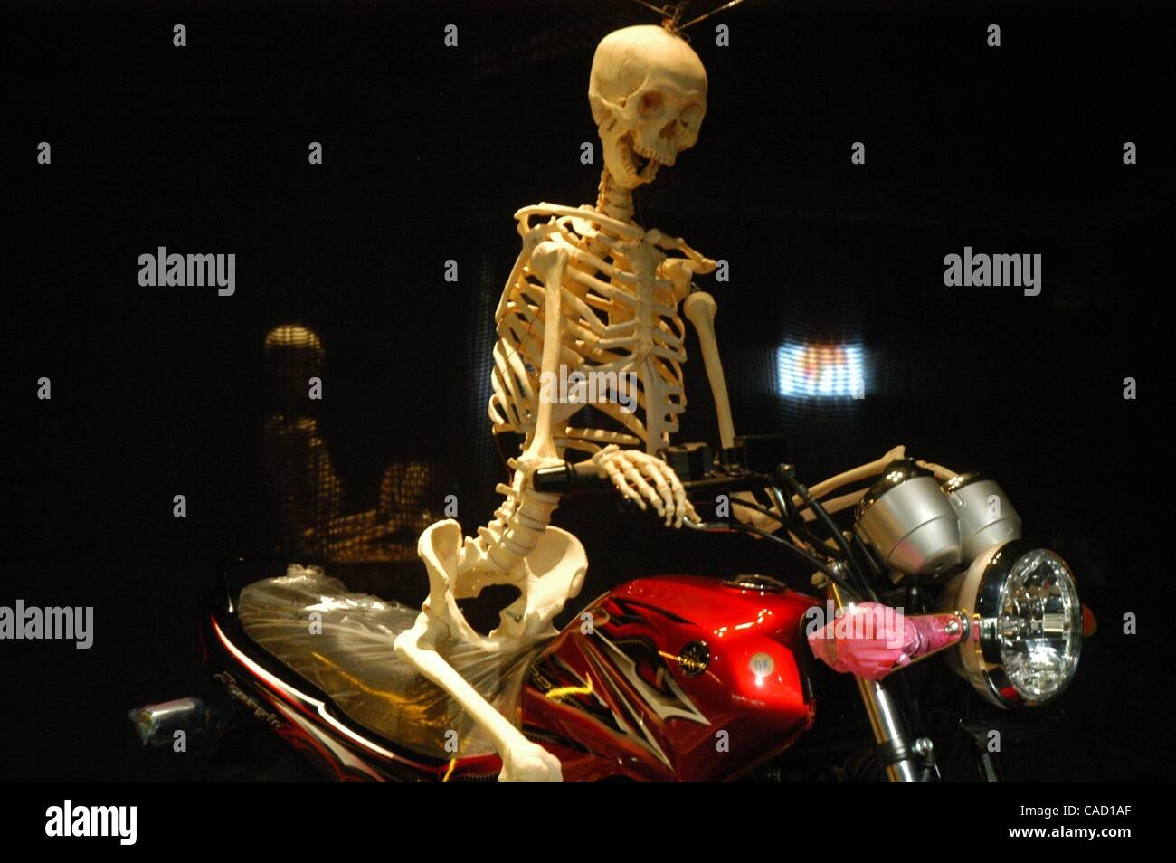 23. Juli 2010 - Jakarta, Indonesien - A Skelett Fahrt Motorrad auf dem Display während der Anatomie zeigen. Alle menschliche Körper angezeigt in der Anatomie Show ist eine authentische Speciment Anatomie. Der Körper wurde gespendet von Menschen, die seinen Körper im Laufe seines Lebens verwendet, nach ihrem Tod für medizinische Studie zugestimmt haben und Stockfoto