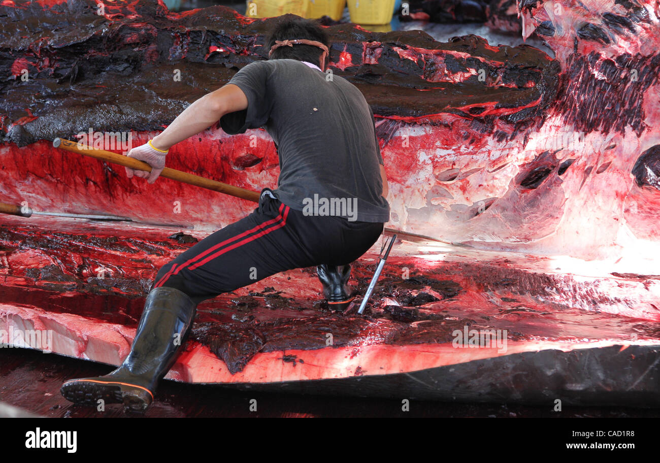 4. August 2010 - Präfektur Chiba, Japan - japanische Walfänger sauber und ausgeschnitten Fleisch aus einem 10,2 Meter langen Baird Schnabel Wal Wada Hafen in Minamiboso, Chiba, Japan auf 4. August 2010. Walfleisch zu essen, bleibt eine nationale Sitte in Japan vor einigen hundert Jahren zurückreicht. Es ist nur 5 ports, Walfang Stockfoto