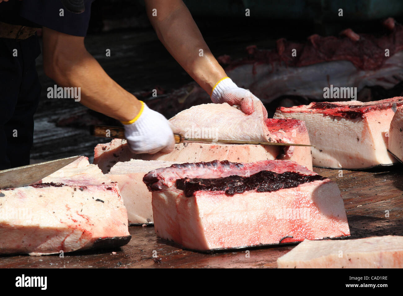 4. August 2010 - Chiba, Japan - Fischer-Prozess das Fleisch von Baird es Beaked Wale am Wada Hafen in Minamiboso, Präfektur Chiba, Japan auf 4. August 2010. Walfleisch zu essen, bleibt eine nationale Sitte in Japan vor einigen hundert Jahren zurückreicht. Es ist nur 5 Ports, die Walfang in Japan, durch die co erlaubt ist Stockfoto