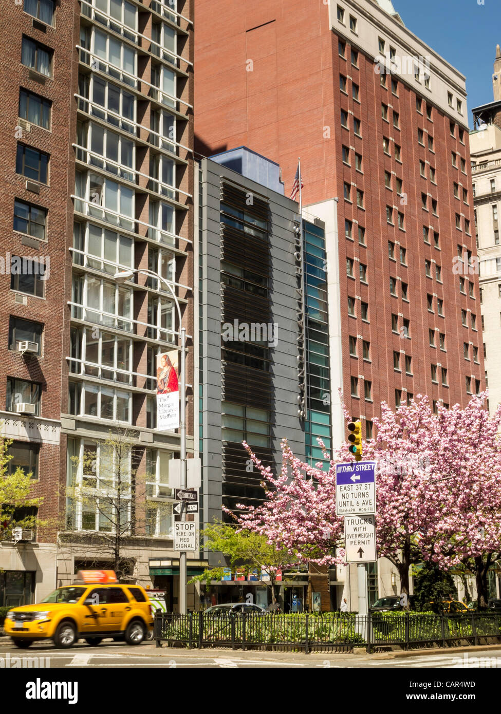 New York, NY - 9. April 2012 - die Kirschbäume in voller Blüte an der Park Avenue im Stadtteil Murray Hill, südlich von Grand Central Terminal.  Ungewöhnlich warmes Wetter hat zu Beginn des Frühjahrs Bedingungen in die Tri-State Area gebracht. Stockfoto