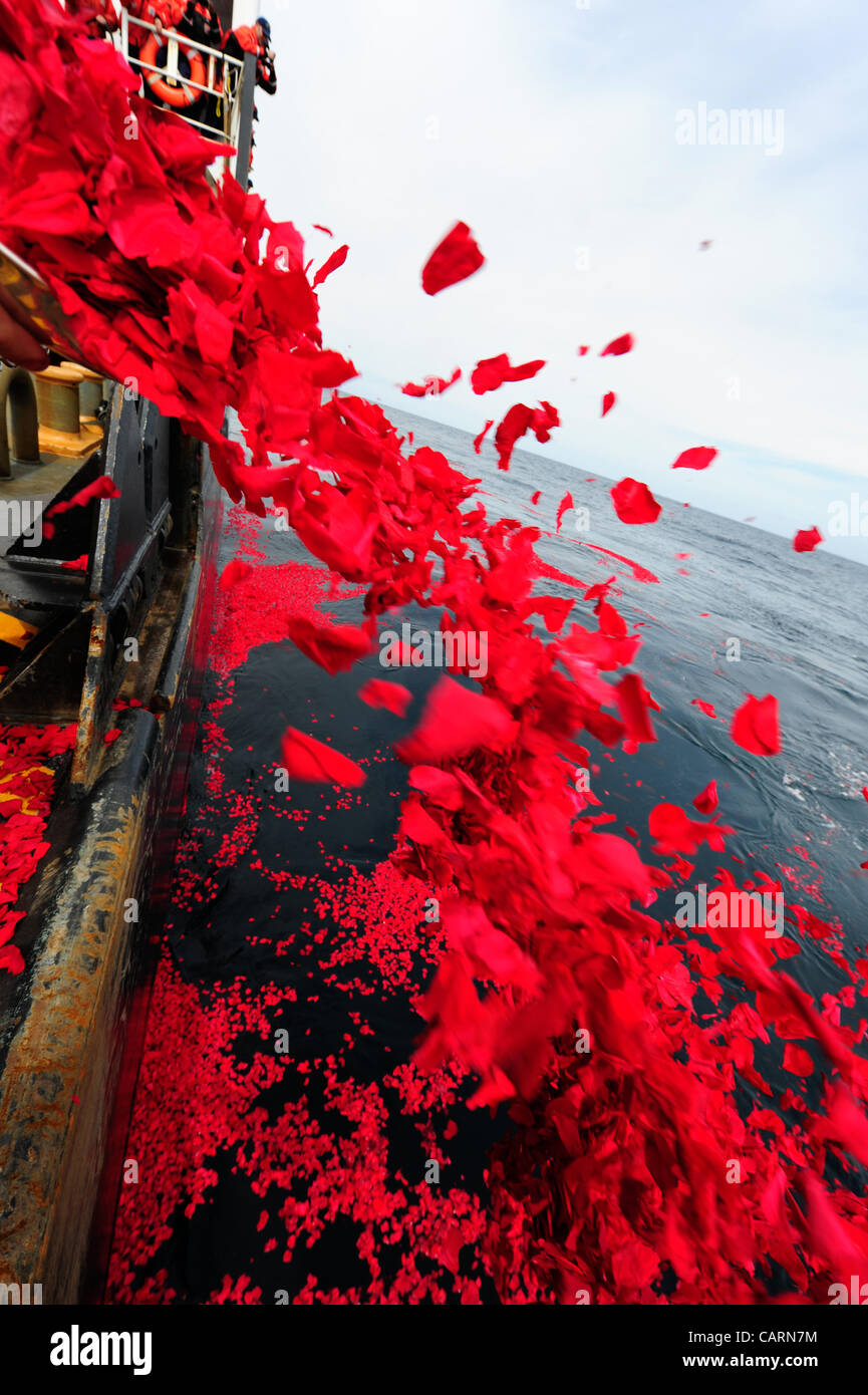 Nordatlantik - sind fast 1,5 Millionen getrockneten Rosenblättern auf See durch gelegt, dass die Crew von der US Coast Guard Cutter Juiper über die RMS Titanic Seite 14. April 2012 ruhen die. Die Rosenblätter wurden von Titanic Museum Attraktionen für die Titanic hundertjährige Gedenken gestiftet. Stockfoto