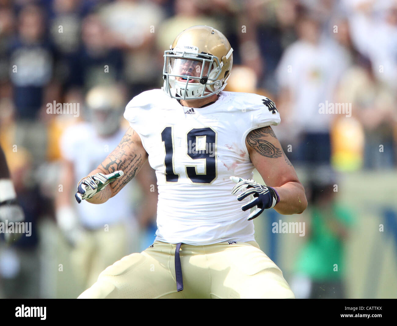 24. September 2011 - Pittsburgh, Pennsylvania, USA - Notre-Dame Aaron Lynch (19). Die Notre Dame Fighting Irish waren in der Lage, auf einen leichten Vorsprung, der University of Pittsburgh Panthers in Hienz Field schlagen zu halten.  Foto: Aaron Suozzi (Kredit-Bild: © Aaron Souzzi/ZUMAPRESS.com) Stockfoto