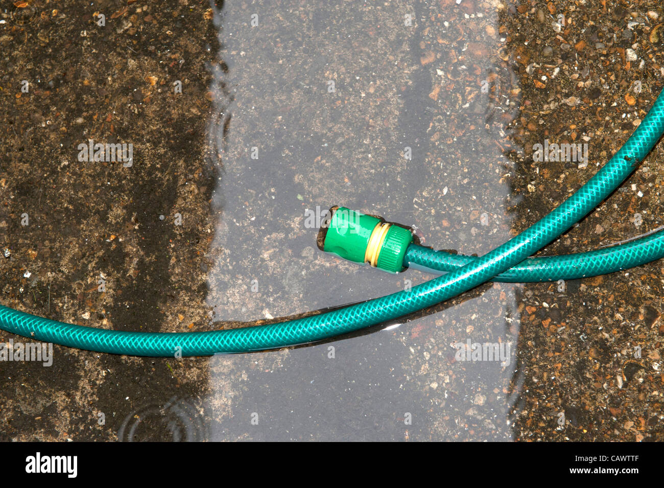 Schlauch im Wasser während der 2012-Schlauch-Verbot in Südengland Stockfoto
