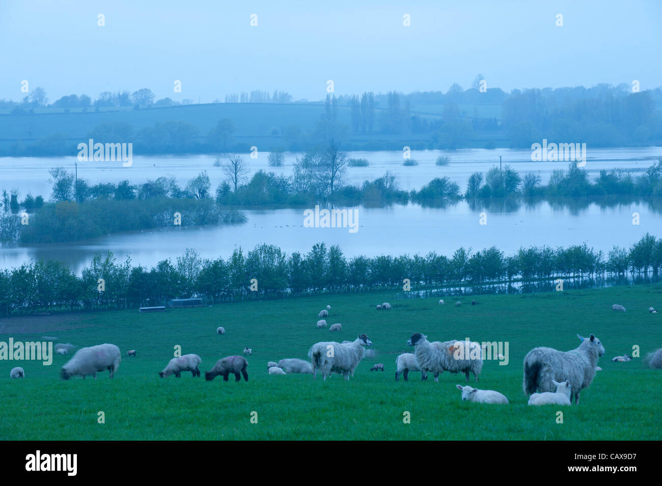 Tewkesbury, Gloucestershire. Dienstag, 1. Mai 2012. Fünf Jahre nach den schlimmsten Überschwemmungen Tewkesbury in Gloucestershire je erlebt hat, Warnungen wie die Severn und Avon Flüsse traten über die Ufer und die Ebene rund um die Kreisstadt auf ein gefährliches Niveau füllt umgesetzt werden. Stockfoto