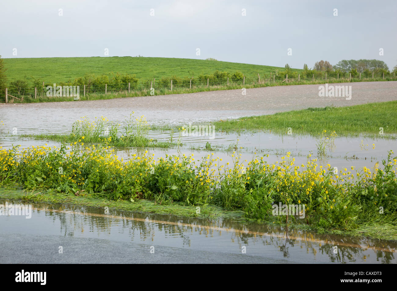 Hochwasser vom Fluss Parrett Downhill am Athelney spillway auf die A 361 am 2. Mai 2012 fließen. Die A361 Straße war kurz als Unpassierbar wurde aufgrund der ständigen Regen, Hochwasser bedroht weite in der Somerset Levels trotz der offiziellen Erklärung der Dürre verursacht hat geschlossen. Stockfoto