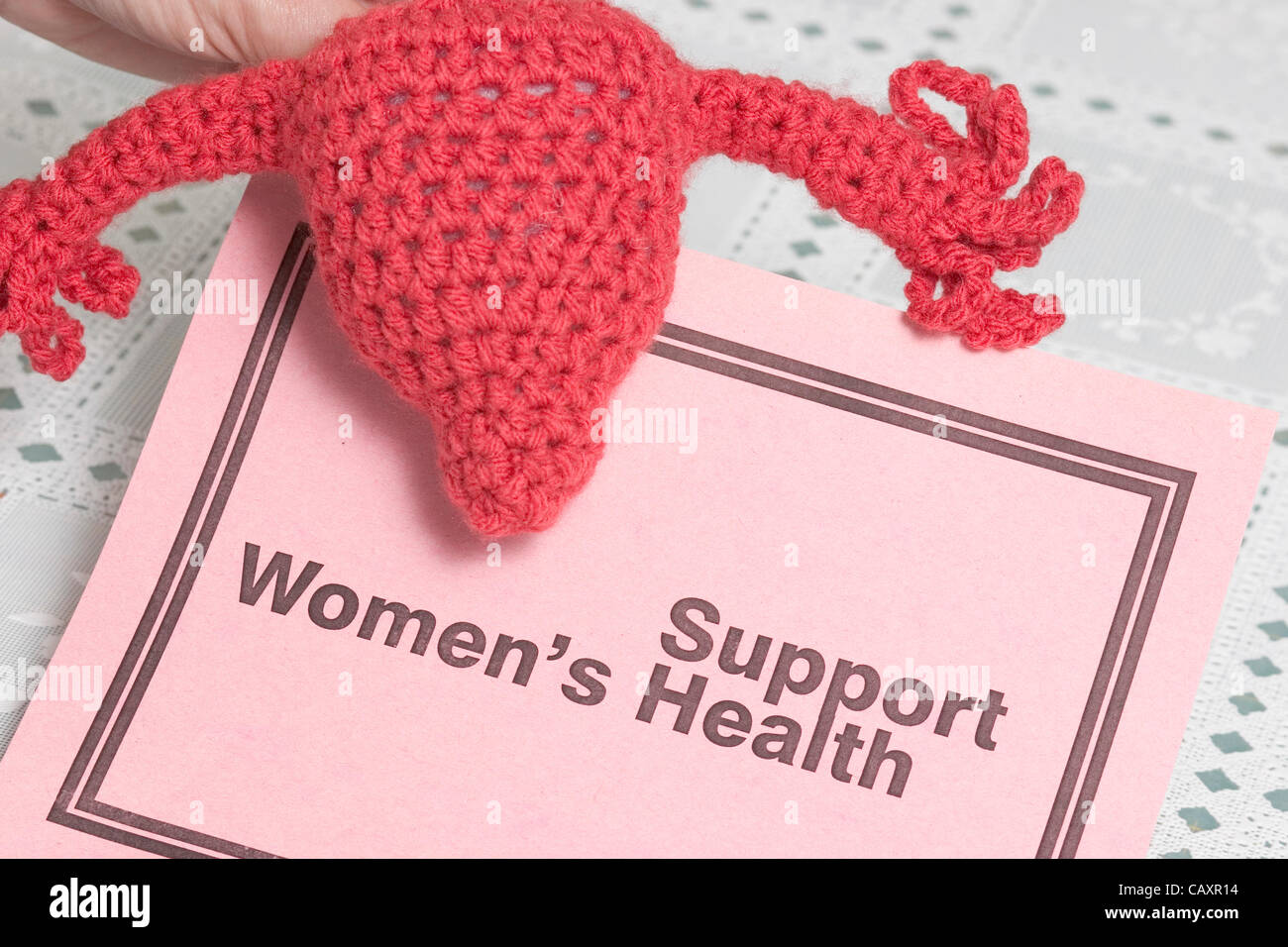 Texas, USA Mai Freitag, 4. 2012. Texas ansässigen strickt Protestierenden Zustandgesetzgebung weibliche Anatomie dieser Blöcke Bundesmittel für die Gesundheit von Frauen. Gestrickte Anatomie erhalten an den Gouverneur und Vertreter. Stockfoto