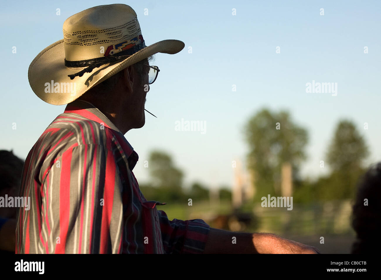 Lobo, Kanada - 5. Juli 2010. Ein Konkurrent Uhren von der Seitenlinie. Team penning ist ein Wettbewerb, wo versuchen Teams Fahrer Kühe in einem Pferch Corral. Zeit bleibt und die Mannschaft mit der kürzesten Zeit im Laufe des Wettbewerbs gewinnt. Stockfoto