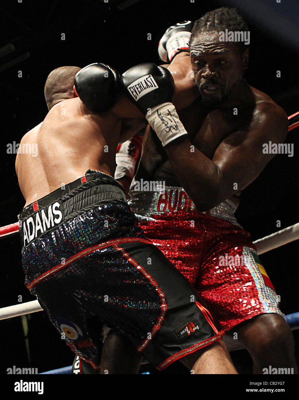 26.05.2012. Brentwood, Essex, England.  Audley Harrison kämpft in enger Zusammenarbeit mit Ali Adams für die International Masters-Gürtel. Audley Harrison V Ali Adams.     Heavyweight Championship Boxing Kampf aus der Brentwood Centre in Essex. VEREINIGTES KÖNIGREICH. Stockfoto