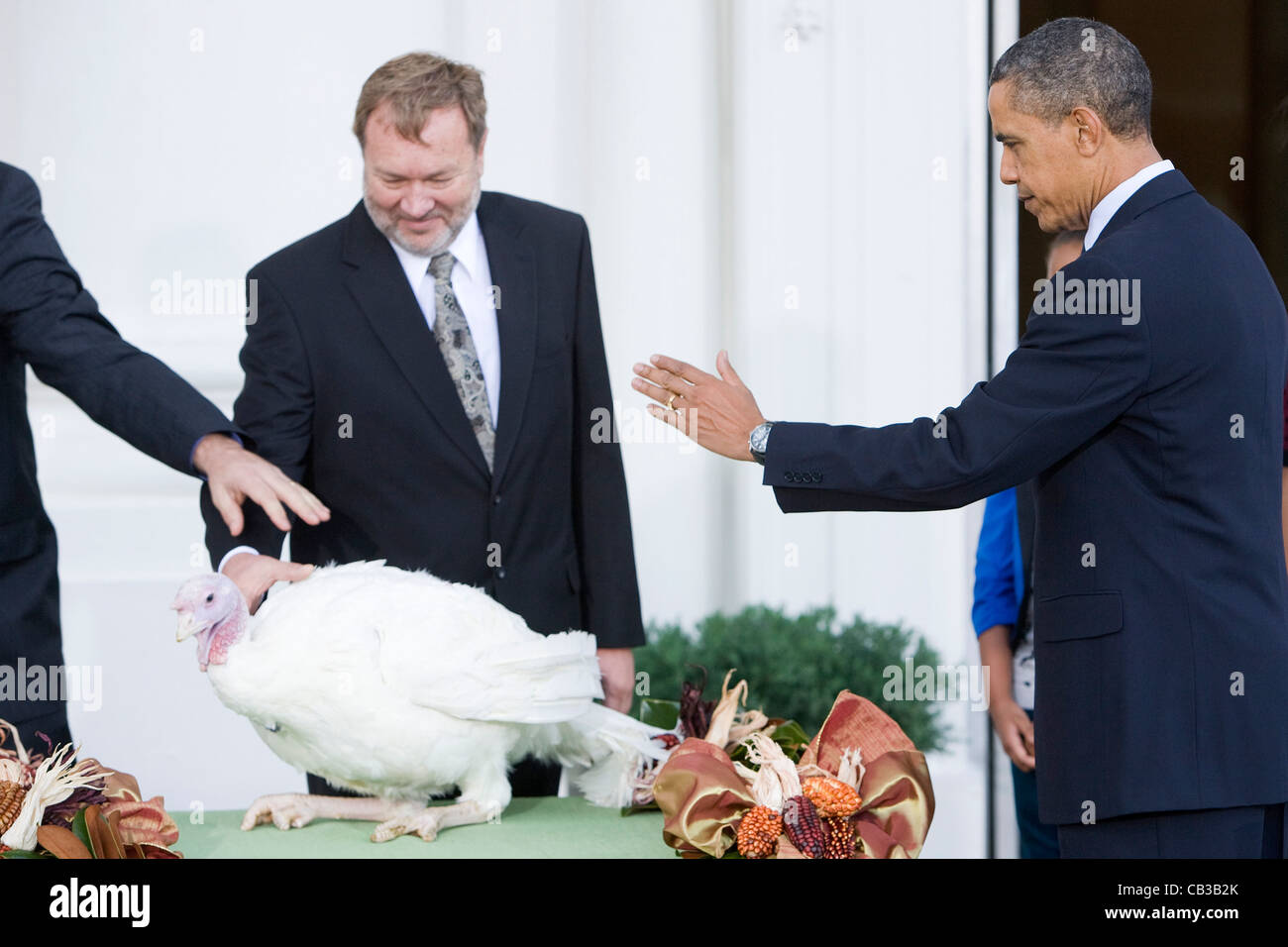 Präsident Barack Obama und Töchter Sasha und Malia verzeihen 2011 nationalen Thanksgiving-Truthahn. Stockfoto