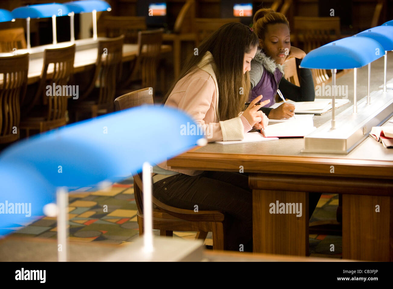 Zwei junge Frauen studieren im Lesesaal einer Bibliothek Stockfoto