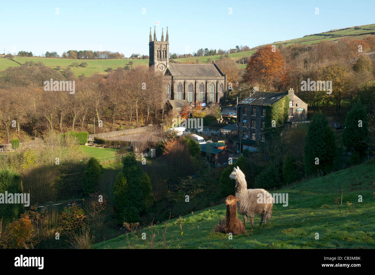 Bezirk der Pfarrei Kirche St. Chad mit zwei Lamas, Greenfield, Saddleworth, Oldham, Greater Manchester, England, UK Stockfoto