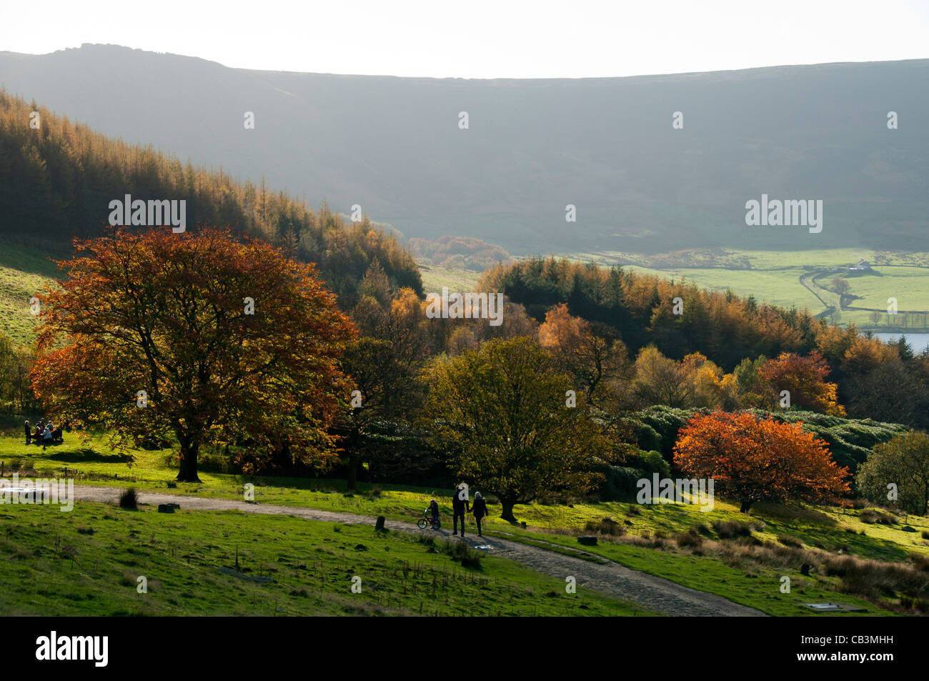 Herbstfarben im Dove Stone Reservoir, Saddleworth, Oldham, Greater Manchester, England, Großbritannien. Wimberry Stones Brow Behind. Stockfoto